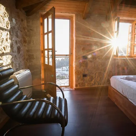 Roots Apartament *